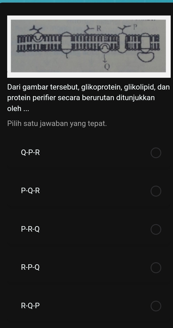 Dari gambar tersebut, glikoprotein, glikolipid, dan
protein perifier secara berurutan ditunjukkan
oleh ...
Pilih satu jawaban yang tepat.
Q - P-R
P-Q - R
P-R-Q
R-P-Q
R-Q-P