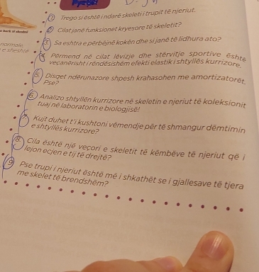 Trego si eshtē i ndarē skeleti i trupit të njeriut. 
w hark of shrnhtë Cilat jané funksionet kryesore tế skeletit? 
normale Sa eshtra e pérbējnē kokēn dhe si janê tē lidhura ato? 
Pérmend né cilat lévizje dhe stérvitje sportive esht 
recanérisht i rendésishém efekti elastik i shtyllës kurrizore
5 Disqet ndérunazore shpesh krahasohen me amortizatorët 
Pse? 
6) Analizo shtyllén kurrizore në skeletin e njeriut tē koleksionit 
tuaj né laboratorin e biologjisē! 
Kujt duhet t'i kushtoni vëmendje pēr tē shmangur dēmtimin 
e shtyllēs kurrizore? 
B Cila ështē njē veçori e skeletit tē këmbëve të njeriut që i 
lejon ecjen e tij të drejtë? 
9 Pse trupi i njeriut ēshtē më i shkathët se i gjallesave të tjera 
me skelet tế brendshēm?