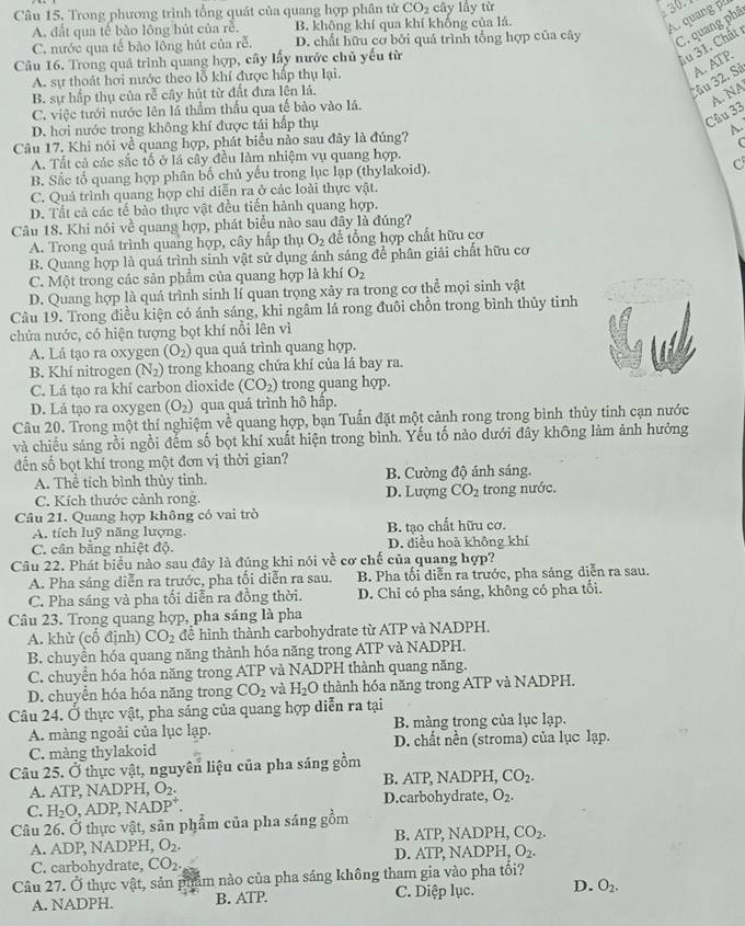 Trong phương trình tổng quát của quang hợp phần tử CO_2 cây lầy từ
A. đất qua tế bào lông hút của rề. B. không khí qua khí khống của lá.
A. quang p 30-
C. nước qua tế bảo lồng hút của rễ. D. chất hữu cơ bởi quá trình tổng hợp của cây C. quang phâ
Câu 16. Trong quá trình quang hợp, cây lấy nước chủ yếu từ
ầu 31. Chât
A. sự thoát hơi nước theo lỗ khí được hấp thụ lại. ATP.
B. sự hấp thụ của rễ cây hút từ đất đưa lện lá.
Câu 32. Sả A.
C. việc tưới nước lên lá thầm thấu qua tế bảo vào lá.
D. hơi nước trong không khí được tái hấp thụ
Câu 33 A. NA
Câu 17. Khi nói về quang hợp, phát biểu nảo sau đây là đúng? A.
A. Tất cả các sắc tố ở lá cây đều làm nhiệm vụ quang hợp.
B. Sắc tổ quang hợp phân bố chủ yếu trong lục lạp (thylakoid). C
C. Quả trình quang hợp chỉ diễn ra ở các loài thực vật.
D. Tất cả các tế bảo thực vật đều tiến hành quang hợp.
Câu 18. Khi nói về quang hợp, phát biểu nào sau đây là đúng?
A. Trong quá trình quang hợp, cây hấp thụ O_2 để tổng hợp chất hữu cơ
B. Quang hợp là quá trình sinh vật sử dụng ánh sáng để phân giải chất hữu cơ
C. Một trong các sản phẩm của quang hợp là khí O_2
D. Quang hợp là quá trình sinh lí quan trọng xảy ra trong cơ thể mọi sinh vật
Câu 19. Trong điều kiện có ánh sáng, khi ngâm lá rong đuôi chồn trong bình thủy tinh
chứa nước, có hiện tượng bọt khí nổi lên vì
A. Lá tạo ra oxygen (O_2) qua quá trình quang hợp.
B. Khí nitrogen (N_2) trong khoang chứa khí của lá bay ra.
C. Lá tạo ra khí carbon dioxide (CO_2) trong quang hợp.
D. Lá tạo ra oxygen (O_2) qua quá trình hô hập.
Câu 20. Trong một thí nghiệm về quang hợp, bạn Tuấn đặt một cảnh rong trong bình thủy tinh cạn nước
và chiếu sáng rồi ngồi đếm số bọt khí xuất hiện trong bình. Yếu tố nào dưới đây không làm ảnh hưởng
đến số bọt khí trong một đơn vị thời gian?
A. Thể tích bình thủy tinh. B. Cường độ ánh sáng.
C. Kích thước cảnh rong. D. Lượng CO_2 trong nước.
Câu 21. Quang hợp không có vai trò
A. tích luỹ năng lượng. B. tạo chất hữu cơ.
C. cân bằng nhiệt độ. D. điều hoà không khí
Câu 22. Phát biểu nào sau đây là đúng khi nói về cơ chế của quang hợp?
A. Pha sáng diễn ra trước, pha tối diễn ra sau. B. Pha tối diễn ra trước, pha sáng diễn ra sau.
C. Pha sáng và pha tổi diễn ra đồng thời. D. Chỉ có pha sáng, không có pha tối.
Câu 23. Trong quang hợp, pha sáng là pha
A. khử (cố định) CO_2 để hình thành carbohydrate từ ATP và NADPH.
B. chuyển hóa quang năng thành hóa năng trong ATP và NADPH.
C. chuyển hóa hóa năng trong ATP và NADPH thành quang năng.
D. chuyền hóa hóa năng trong CO_2 và H_2O thành hóa năng trong ATP và NADPH.
Câu 24. Ở thực vật, pha sáng của quang hợp diễn ra tại
A. màng ngoài của lục lạp. B. màng trong của lục lạp.
C. màng thylakoid D. chất nền (stroma) của lục lạp.
Câu 25. Ở thực vật, nguyên liệu của pha sáng gồm
A. ATP. NADPH O_2. B. ATP, NADPH, CO_2.
C. H_2O,ADP,NADP^+. D.carbohydrate, O_2.
Câu 26. Ở thực vật, sản phẩm của pha sáng gồm
A. ADP, NADPH, O_2. B. ATP, NADPH, CO_2.
C. carbohydrate, CO_2. D. ATP, NA DPH O_2.
Câu 27. Ở thực vật, sản phẩm nào của pha sáng không tham gia vào pha tối?
A. NADPH. B. ATP. C. Diệp lục. D. O_2.