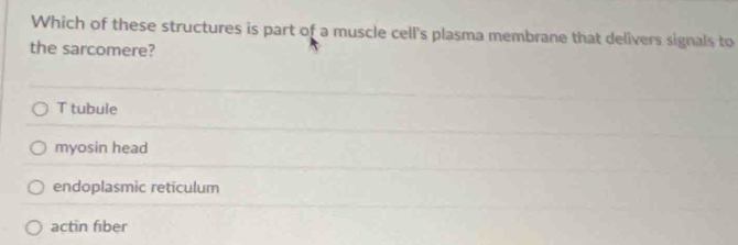 Which of these structures is part of a muscle cell's plasma membrane that delivers signals to
the sarcomere?
T tubule
myosin head
endoplasmic reticulum
actin fiber