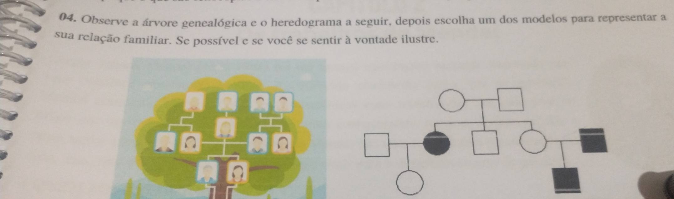 Observe a árvore genealógica e o heredograma a seguir, depois escolha um dos modelos para representar a 
sua relação familiar. Se possível e se você se sentir à vontade ilustre.