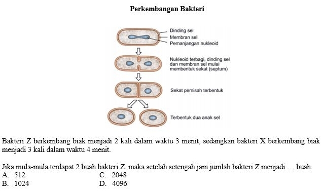 Perkembangan Bakteri
Bakteri Z berkembang biak menjadi 2 kali dalam waktu 3 menit, sedangkan bakteri X berkembang biak
menjadi 3 kali dalam waktu 4 menit.
Jika mula-mula terdapat 2 buah bakteri Z, maka setelah setengah jam jumlah bakteri Z menjadi … buah.
A. 512 C. 2048
B. 1024 D. 4096