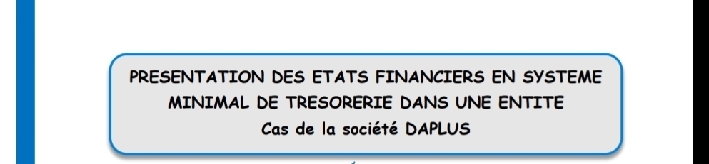 PRESENTATION DES ETATS FINANCIERS EN SYSTEME 
MINIMAL DE TRESORERIE DANS UNE ENTITE 
Cas de la société DAPLUS