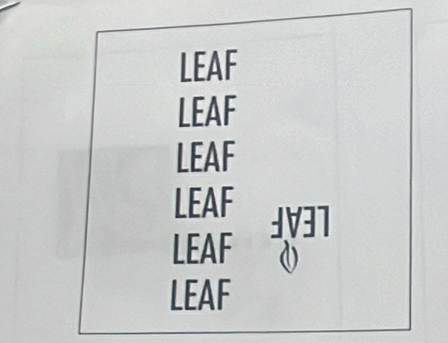 LEAF 
LEAF 
LEAF 
LEAF £V37
LEAF d) 
LEAF