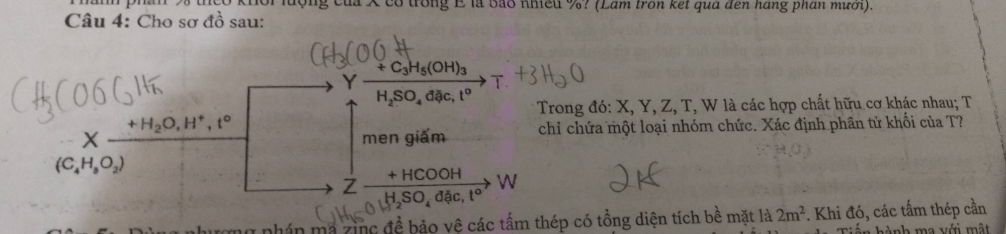 lượng của X có trong E là bào nhiều %? (Lâm tron ket qua đen háng phân mưới). 
Câu 4: Cho sơ đồ sau: 
Y +C_3H_5(OH)_3 T
H_2SO_4dac, t^o
Trong đó: X, Y, Z, T, W là các hợp chất hữu cơ khác nhau; T
+H_2O, H^+, t°
chỉ chứa một loại nhóm chức. Xác định phân tử khối của T? 
X men giấm
(C_4H_8O_2)
+ HCOOH W 
Z SO_4dac, t°
g nhán ma zinc đề bảo vệ các tấm thép có tổng diện tích bề mặt là 2m^2. Khi đó, các tấm thép cần 
h nh m a v ới m tt