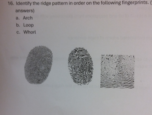 Identify the ridge pattern in order on the following fingerprints. ( 
answers) 
a、 Arch 
b. Loop 
c. Whorl