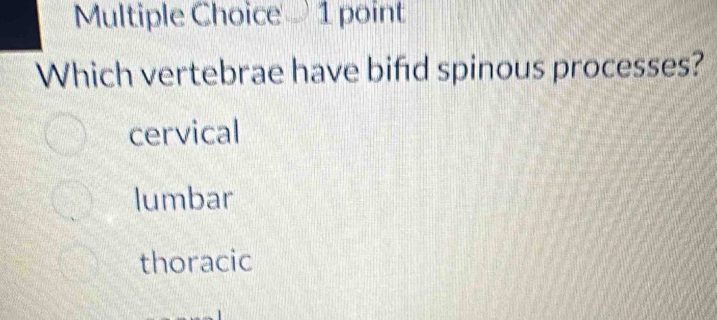 Which vertebrae have bifd spinous processes?
cervical
lumbar
thoracic