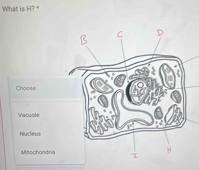 What is H? *