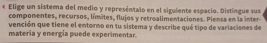 Elige un sistema del medio y represéntalo en el siguiente espacio. Distingue sus 
componentes, recursos, límites, flujos y retroalimentaciones. Piensa en la inter- 
vención que tiene el entorno en tu sistema y describe qué tipo de variaciones de 
materia y energía puede experimentar.