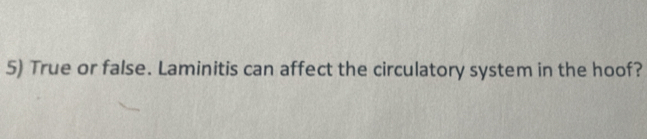 True or false. Laminitis can affect the circulatory system in the hoof?