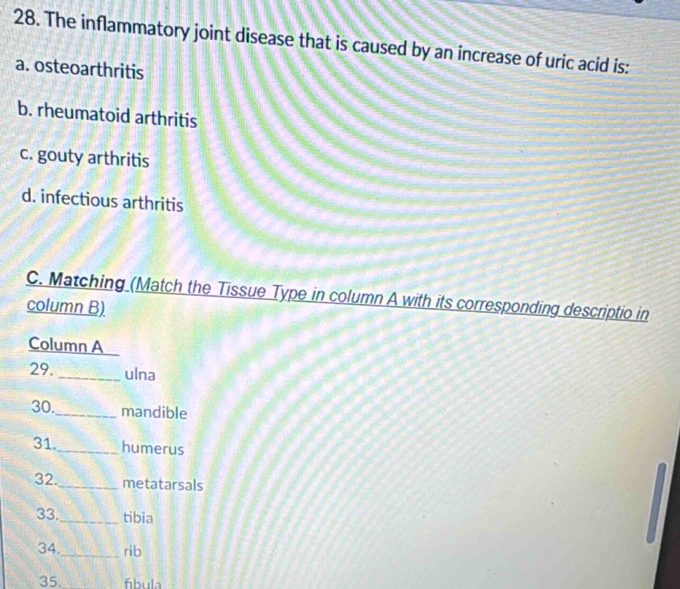 The inflammatory joint disease that is caused by an increase of uric acid is:
a. osteoarthritis
b. rheumatoid arthritis
c. gouty arthritis
d. infectious arthritis
C. Matching (Match the Tissue Type in column A with its corresponding descriptio in
column B)
Column A
29. _ulna
30._ mandible
31._ humerus
32._ metatarsals
33._ tibia
34._ rib
35. fibula