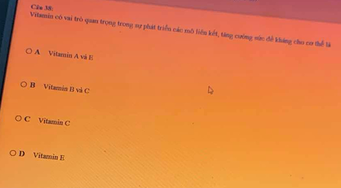 Cân 38:
Vitamin có vai trò quan trọng trong sự phát triển các mô liên kết, tăng cường sức đề kháng cho cơ thể là
A Vitamin A và E
B Vitamin B và C
C Vitamin C
D Vitamin E