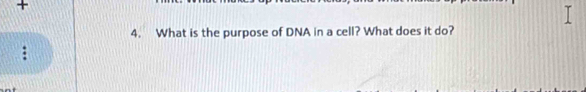 + 
4. What is the purpose of DNA in a cell? What does it do? 
.