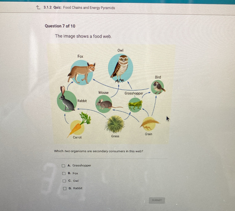 Food Chains and Energy Pyramids
Question 7 of 10
The image shows a food web.
Which two organisms are secondary consumers in this web?
A. Grasshopper
B. Fox
C. Owl
D. Rabbit
SUBMIT