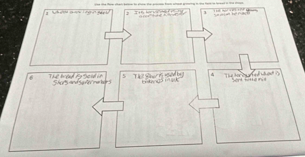 Lke the fow chart below to shiw the process fom wheat growing in the field to bread in the shipt