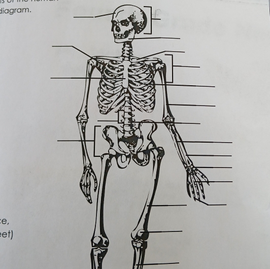 diagram. 
: e, 
et)