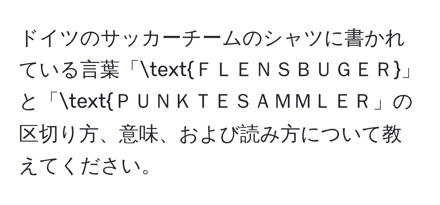 ドイツのサッカーチームのシャツに書かれている言葉「ＦＬＥＮＳＢＵＧＥＲ」と「ＰＵＮＫＴＥＳＡＭＭＬＥＲ」の区切り方、意味、および読み方について教えてください。