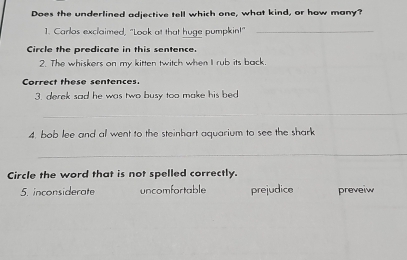 Solved: Does the underlined adjective tell which one, what kind, or how ...