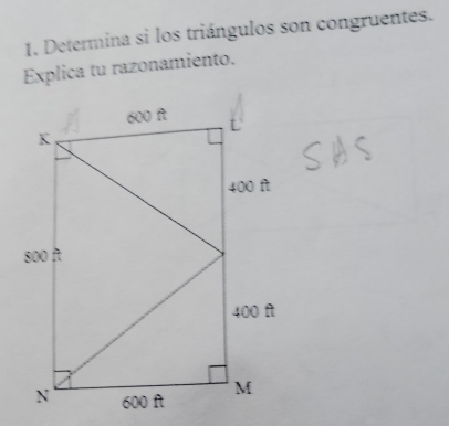 Determina si los triángulos son congruentes. 
Explica tu razonamiento.