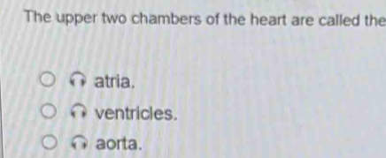 The upper two chambers of the heart are called the
atria.
ventricles.
aorta.