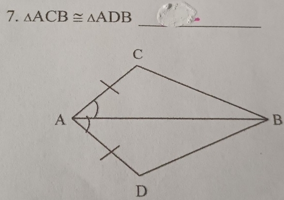 △ ACB≌ △ ADB
_