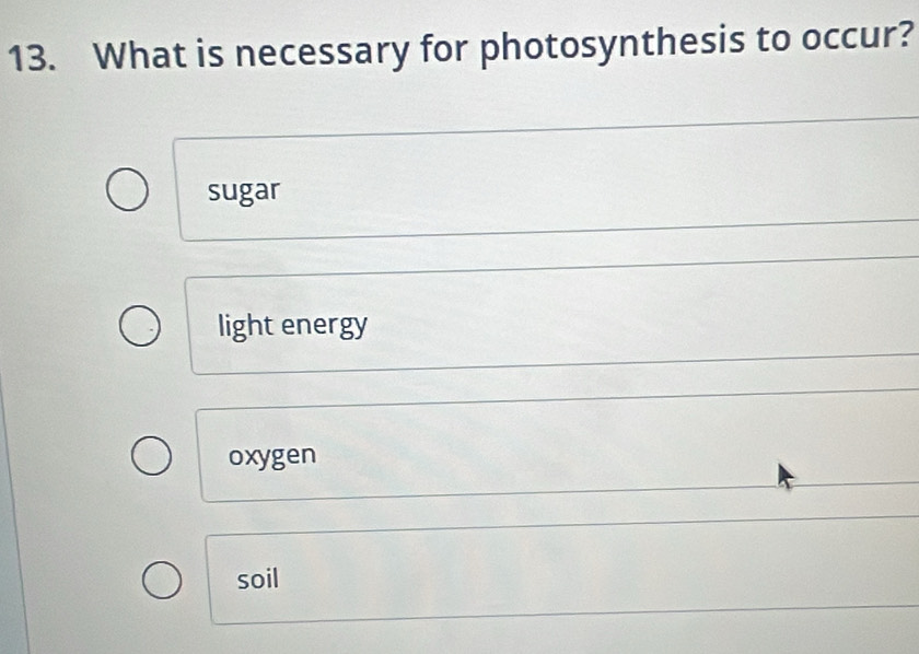 What is necessary for photosynthesis to occur?
sugar
light energy
oxygen
soil