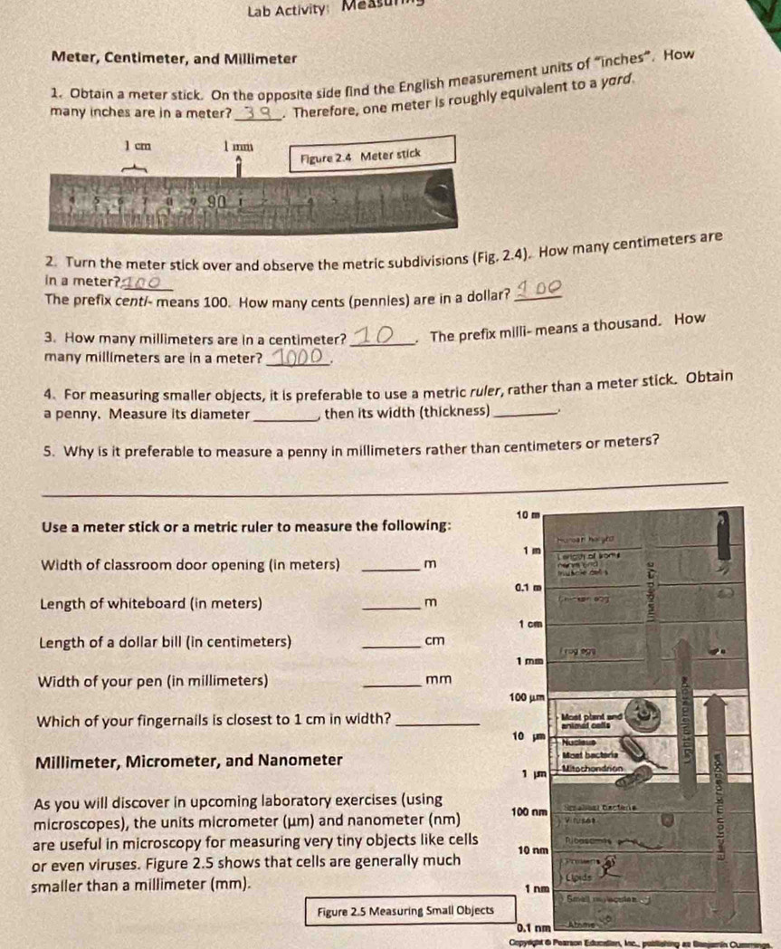 Lab Activity: Measun
Meter, Centimeter, and Millimeter
1. Obtain a meter stick. On the opposite side find the English measurement units of “ inches ”. How 
many inches are in a meter? _. Therefore, one meter is roughly equivalent to a yord 
2. Turn the meter stick over and observe the metric subdivisions (Fig, 2.4). How many centimeters are 
in a meter? 
_ 
The prefix cent/- means 100. How many cents (pennies) are in a dollar?_ 
3. How many millimeters are in a centimeter?_ . The prefix milli - means a thousand. How 
_ 
many millimeters are in a meter? . 
4. For measuring smaller objects, it is preferable to use a metric ruler, rather than a meter stick. Obtain 
a penny. Measure its diameter _, then its width (thickness)_ 
5. Why is it preferable to measure a penny in millimeters rather than centimeters or meters? 
_ 
Use a meter stick or a metric ruler to measure the following: 
Width of classroom door opening (in meters) _ m
Length of whiteboard (in meters) _ m
Length of a dollar bill (in centimeters) _ cm
Width of your pen (in millimeters) _ mm
Which of your fingernails is closest to 1 cm in width?_
Millimeter, Micrometer, and Nanometer
As you will discover in upcoming laboratory exercises (using 
microscopes), the units micrometer (μm) and nanometer (nm) 
are useful in microscopy for measuring very tiny objects like cells 
or even viruses. Figure 2.5 shows that cells are generally much 
smaller than a millimeter (mm). 
Figure 2.5 Measuring Small Objects
0.1 nm
Copydgit & Pearson Education, Inc.., p