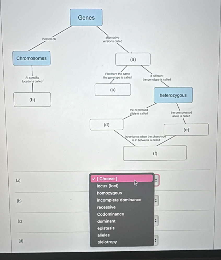[ Choose ] 
locus (loci) 
_ 
homozygous 
(b) incomplete dominance 
_ 
recessive 
Codominance 
(c) dominant 
_ 
epistasis 
alleles 
(d) pleiotropy 
;