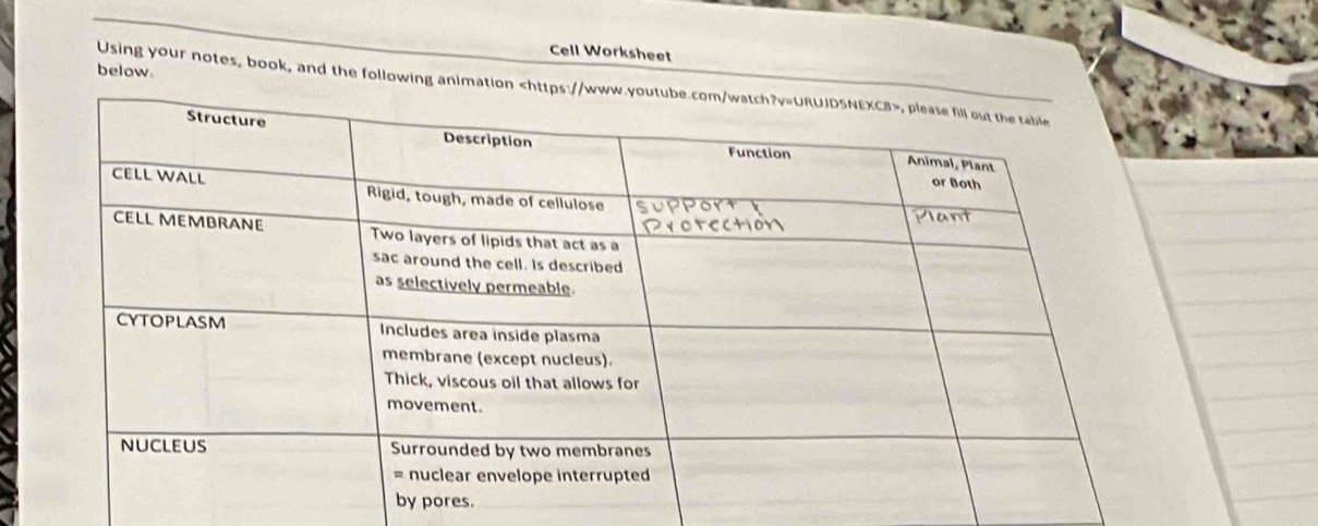 Cell Worksheet 
below 
Using your notes, book, and the following animation