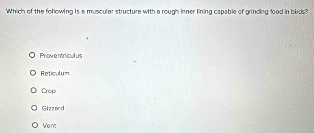 Solved: Which of the following is a muscular structure with a rough ...