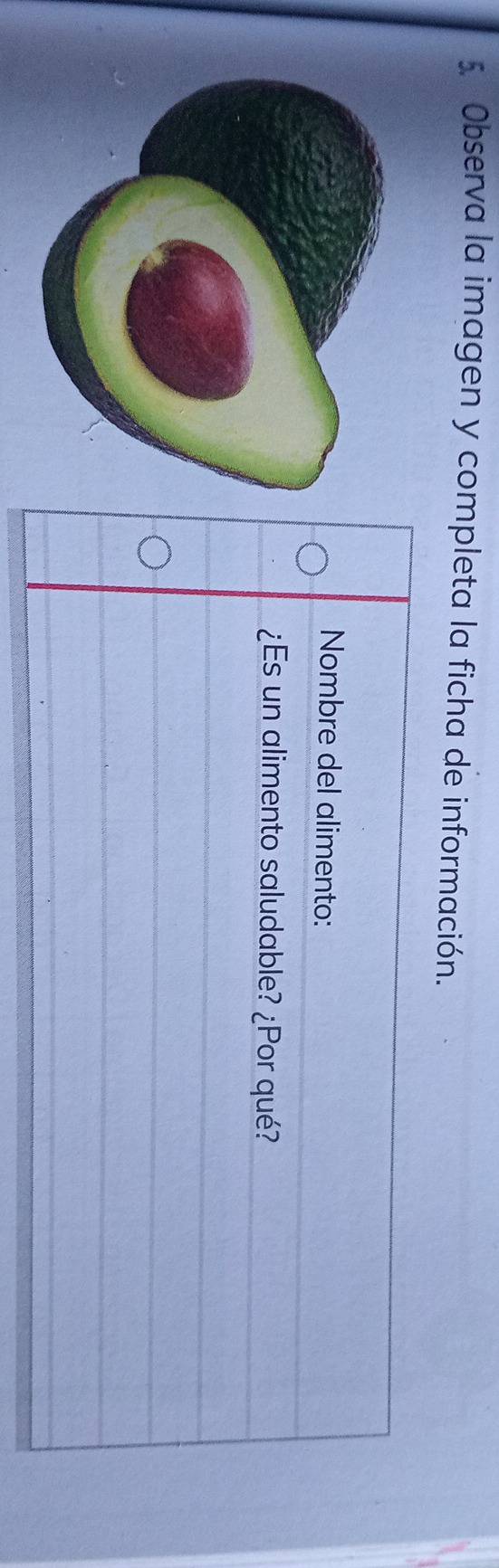 Observa la imagen y completa la ficha de información.