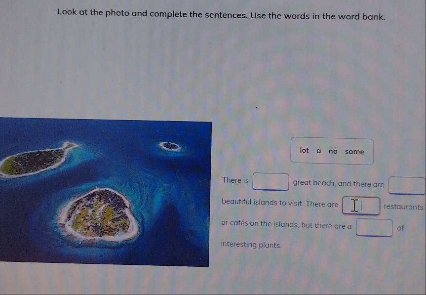 Look at the photo and complete the sentences. Use the words in the word bank. 
lot a no some 
e is □ great beach, and there are □
tiful islands to visit. There are I□ restaurants 
fés on the islands, but there are a □ of 
esting plants.