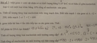 Bài số 7: Một gene ở sinh vật nhân sơ có khổi lượng bằng 9.10^5 dvC và có hiệu số giữa nacleotide 
loại G với một loại khác bằng 10% tổng số nucleotide của gene. 
La. Tính số lượng từng loại mucleotide trên từng mạch đơn. Biết trên mạch 1 của geae có A-G=
200, trên mạch 2cot T+C=600
b. geme trên tái bàn 4 lần tiên tiếp tạo ra các gene con. Tỉnh : 
Số phân từ DNA tạo thành? 
Tính số lượng từng loại nucleotide môi trường cung cấp? 
Tinh tổng số nucleotide do môi trường mội bào cung cấp?