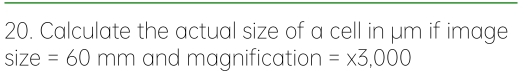 Solved: Calculate the actual size of a cell in μm if image size =60mm ...