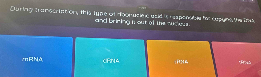 14/20
During transcription, this type of ribonucleic acid is responsible for copying the DNA
and brining it out of the nucleus.
mRNA dRNA rRNA tRNA