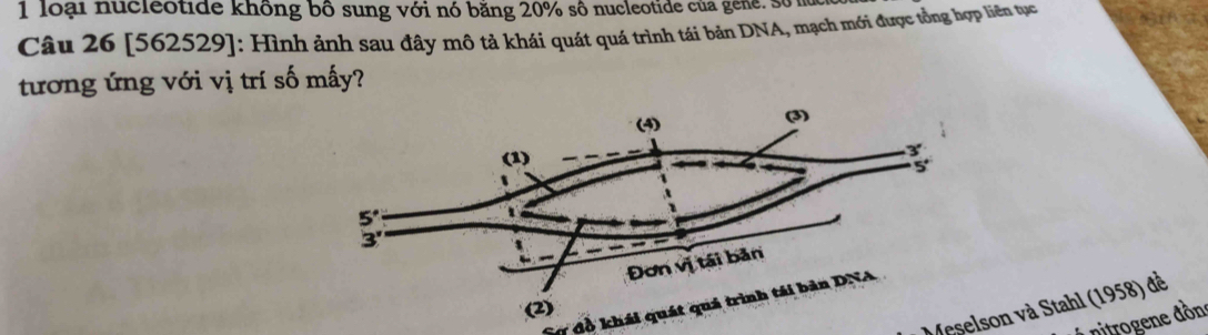 loại nucleotide không bộ sung với nó bằng 20% số nucleotide của gen, số m
Câu 26 [562529]: Hình ảnh sau đây mô tả khái quát quá trình tái bản DNA, mạch mới được tổng hợp liên tực
tương ứng với vị trí số mấy?
Sự đồ khái quát quá trình tái bản DNA
Meselson và Stahl (1958) để
*  nitrogene đồn