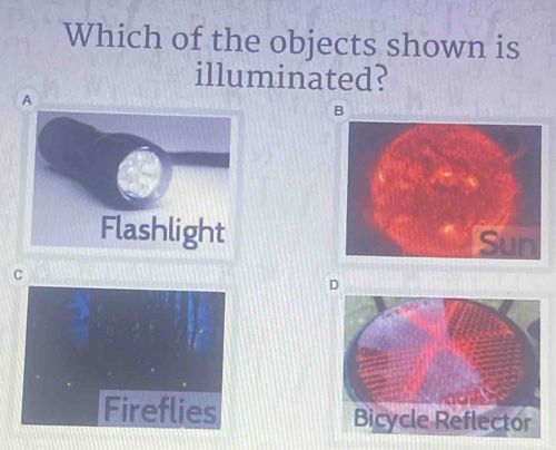 Which of the objects shown is
illuminated?
A
B
Flashlight
Sun
C
Fireflies