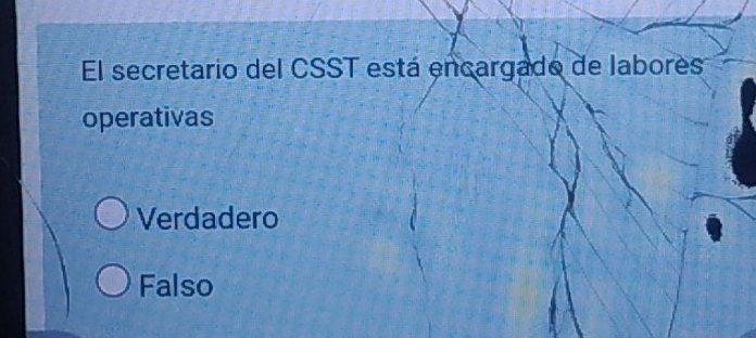 El secretario del CSST está encargado de labores
operativas
Verdadero
Falso