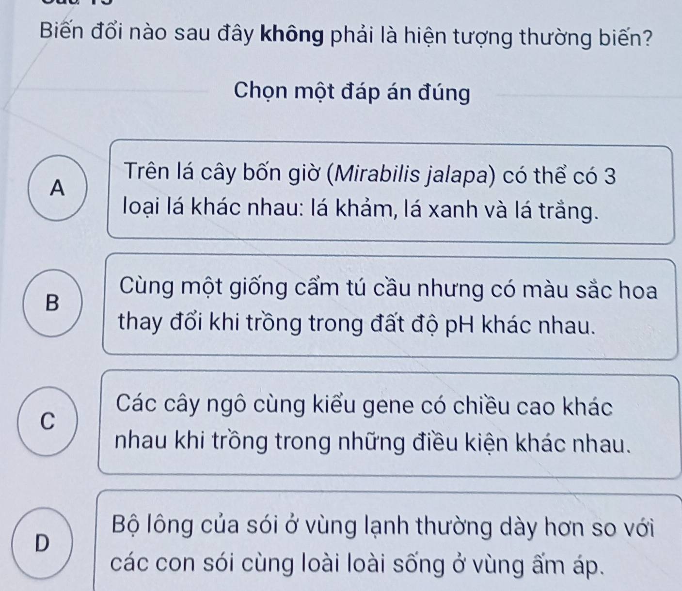 Biến đổi nào sau đây không phải là hiện tượng thường biến?
Chọn một đáp án đúng
A
Trên lá cây bốn giờ (Mirabilis jalapa) có thể có 3
loại lá khác nhau: lá khảm, lá xanh và lá trắng.
B
Cùng một giống cẩm tú cầu nhưng có màu sắc hoa
thay đổi khi trồng trong đất độ pH khác nhau.
Các cây ngô cùng kiểu gene có chiều cao khác
C
nhau khi trồng trong những điều kiện khác nhau.
Bộ lông của sói ở vùng lạnh thường dày hơn so với
D
các con sói cùng loài loài sống ở vùng ấm áp.