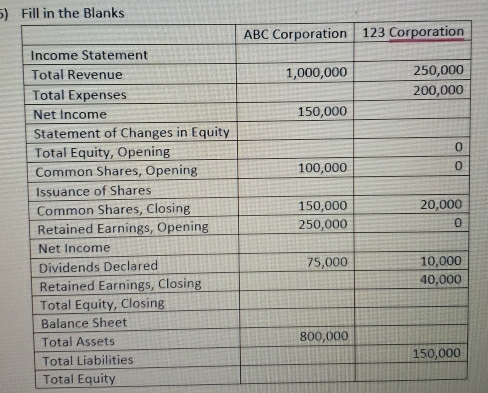 Fill in the Blanks 
Total Equity