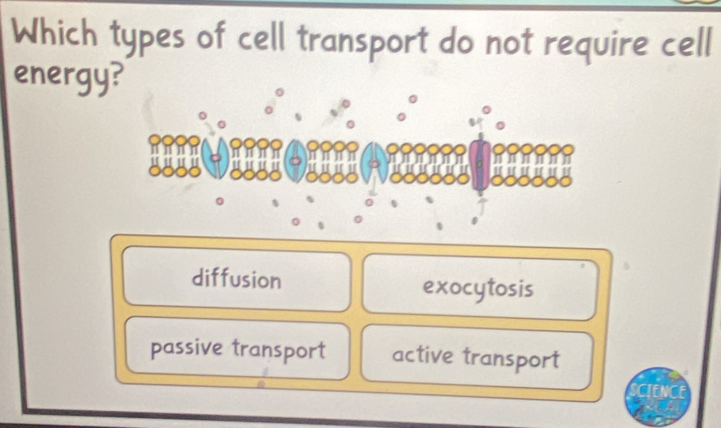 Which types of cell transport do not require cell
energy
diffusion
exocytosis
passive transport active transport