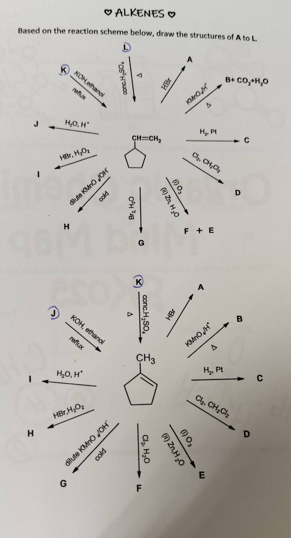 ALKENES O
Based on the reaction scheme below, draw the structures of A to L.
D
A
frac overline S overline D _overline B overline B overline Bendarray ◁
frac x^22x- 1/12  KMnO_4/H^+
B+CO_2+H_2O
D
J H_2O,H^+
CH=CH_2
H_2,Pt
C
HE Br. H_2O_2
Cl_2,CH_2Cl_2
dil uteKMnO_4/OH
ló
colc
D
beginarrayr _ Q _ I _ I _ dendarray
H
F+E
G
K
A
D
D frac beginarrayr 8 hline -888 1/8  HBr
B
KOH, ethand
reflux
KMnO_4/H^(+^(CH_3)
1 H_2)O,H^+
H_2,Pt
C
HBr,H_2O_2
Cl_2,CH_2Cl_2
H
D° H
D
ilute KM
cold
E
G
F