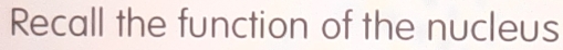 Recall the function of the nucleus