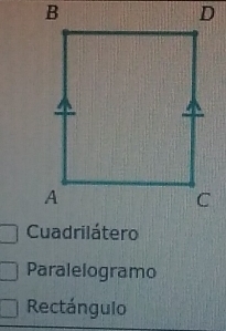 Paralelogramo 
Rectángulo