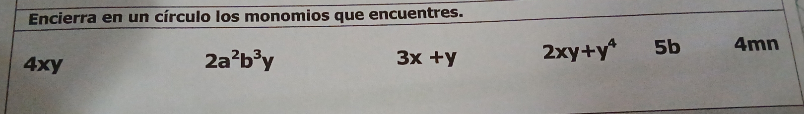 Encierra en un círculo los monomios que encuentres.
4xy 2a^2b^3y
3x+y
2xy+y^4 5b 4mn