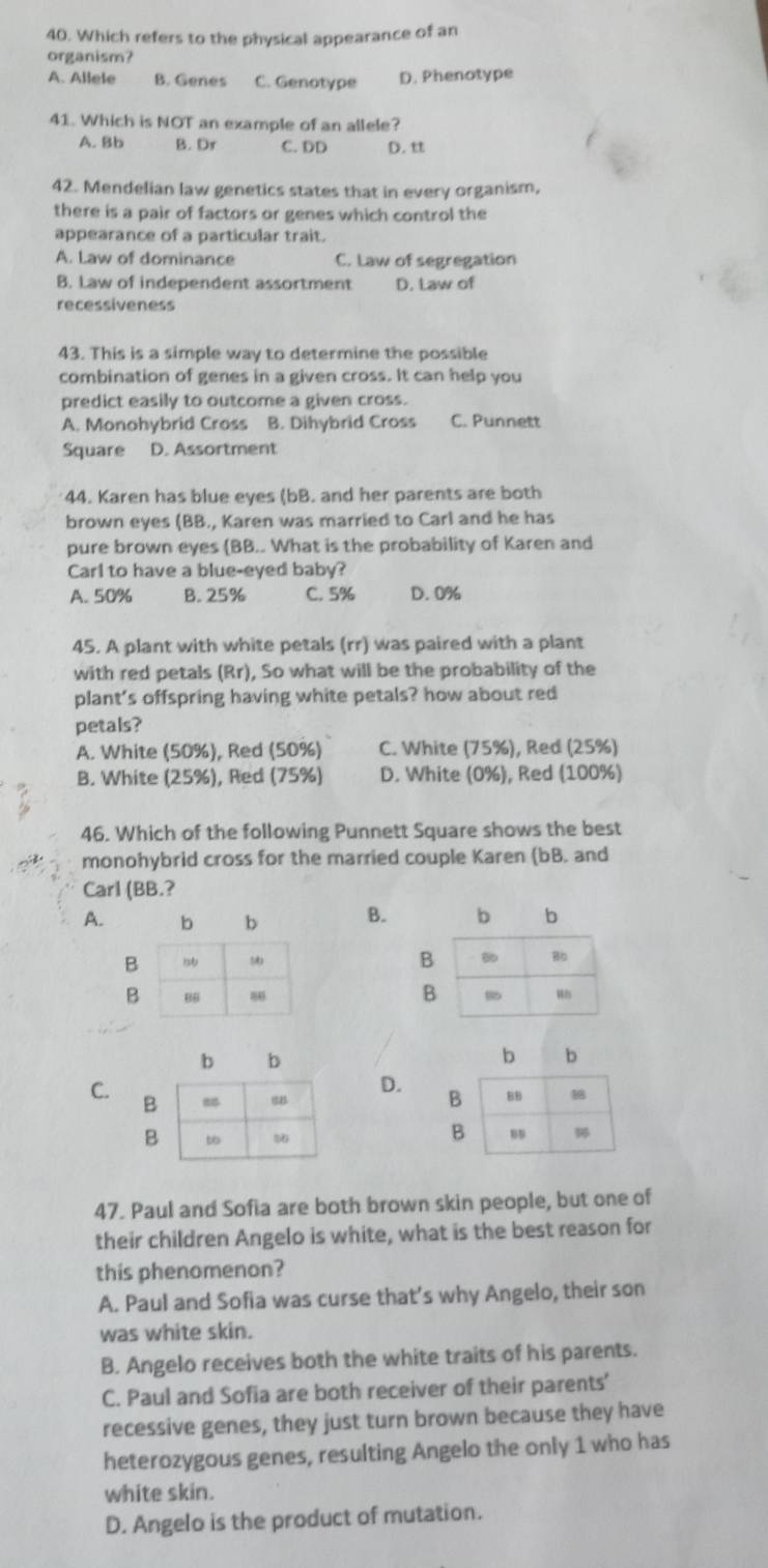 Which refers to the physical appearance of an
organism?
A. Allele B. Genes C. Genotype D. Phenotype
41. Which is NOT an example of an allele?
A. Bb B. Dr C. DD D. t
42. Mendelian law genetics states that in every organism,
there is a pair of factors or genes which control the
appearance of a particular trait.
A. Law of dominance C. Law of segregation
B. Law of independent assortment D. Law of
recessiveness
43. This is a simple way to determine the possible
combination of genes in a given cross. It can help you
predict easily to outcome a given cross.
A. Monohybrid Cross B. Dihybrid Cross C. Punnett
Square D. Assortment
44. Karen has blue eyes (bB. and her parents are both
brown eyes (BB., Karen was married to Carl and he has
pure brown eyes BB.. What is the probability of Karen and
Carl to have a blue-eyed baby?
A. 50% B. 25% C. 5% D. 0%
45. A plant with white petals (rr) was paired with a plant
with red petals (Rr), So what will be the probability of the
plant's offspring having white petals? how about red
petals?
A. White (50%), Red (50%) C. White (75%), Red (25%)
B. White (25%), Red (75%) D. White (0%), Red (100%)
46. Which of the following Punnett Square shows the best
monohybrid cross for the married couple Karen (bB. and
Carl (BB.?
A.B.
 
C.
D.
47. Paul and Sofia are both brown skin people, but one of
their children Angelo is white, what is the best reason for
this phenomenon?
A. Paul and Sofia was curse that’s why Angelo, their son
was white skin.
B. Angelo receives both the white traits of his parents.
C. Paul and Sofia are both receiver of their parents'
recessive genes, they just turn brown because they have
heterozygous genes, resulting Angelo the only 1 who has
white skin.
D. Angelo is the product of mutation.