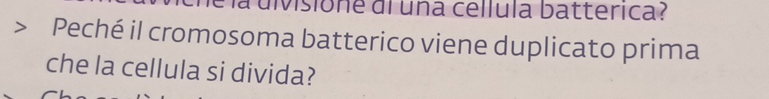 a divisione di una cellula batterica? 
Peché il cromosoma batterico viene duplicato prima 
che la cellula si divida?