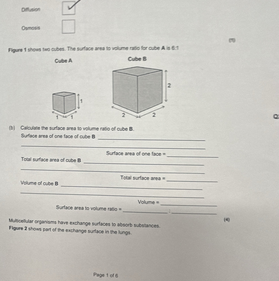 Diffusion 
Osmosis 
Figure 1 shows two cubes. The surface area to volume ratio for cube A is 61
Cube A 
1 
1 1 
Q 
(b) Calculate the surface area to volume ratio of cube B. 
_ 
Surface area of one face of cube B 
_ 
_ 
Surface area of one face = 
Total surface area of cube B 
_ 
_ 
Total surface area = 
Volume of cube B 
_ 
_ 
_ 
_
Volume =
Surface area to volume ratio = _:_ 
(4) 
Multicellular organisms have exchange surfaces to absorb substances. 
Figure 2 shows part of the exchange surface in the lungs. 
Page 1 of 6