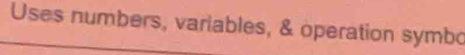 Uses numbers, variables, & operation symbo