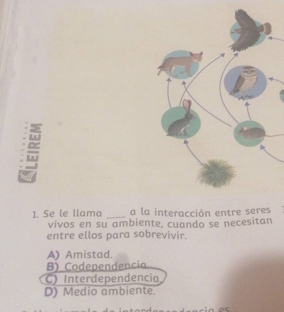 Se le llama _a la interacción entre seres:
vivos en su ambiente, cuando se necesitan
entre ellos para sobrevivir.
A) Amistad.
B) Codependencia.
C) Interdependencia
D) Medio ambiente.